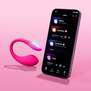 NEW LOVENSE MINI