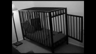 Мечтаю, блин, о клетке как для питомца !