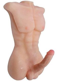 Torso