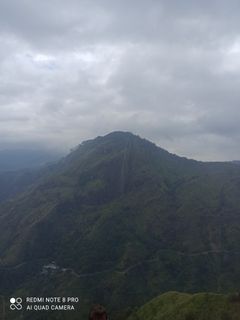 Travel to India