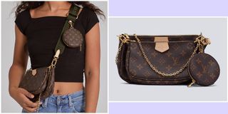 Bag / Louis Vuitton Bag