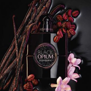 Favorite perfume