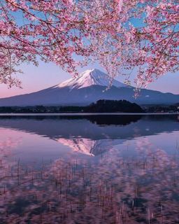 trip to Japan