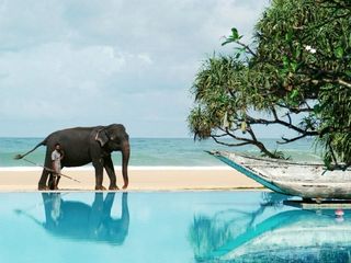 ▷ Holidays in Sri Lanka