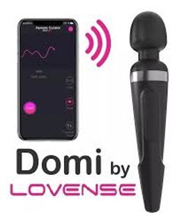 LOVENSE TOY