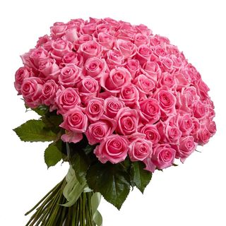 a bouquet of flowers