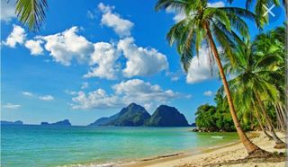 Red_Rose_98 wish list item 1 thumbnail