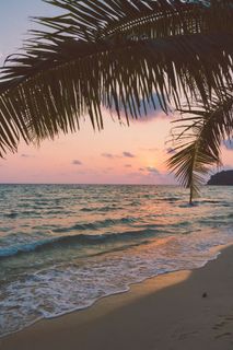 Meet the sea