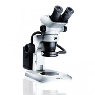 Microscope