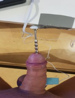 sexe