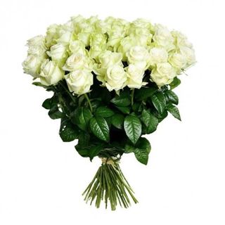 I love flowers