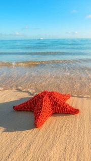 A trip to the sea
