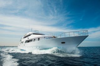 set out on a journey across the seas