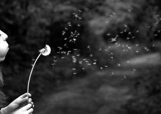 BE FREE
