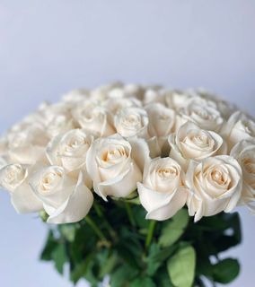 Мои любимые цветы