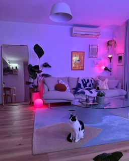 A new apartament