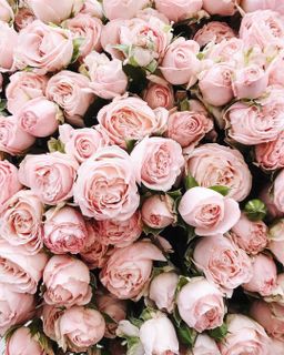 Give me a beauty Flowers ???