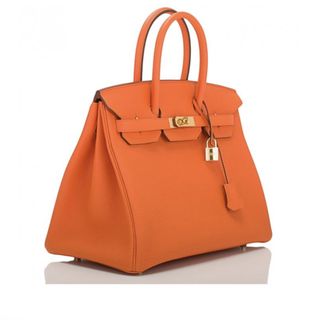 Hermes Birkin Autumn