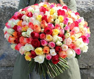 Много ярких цветов ❤️