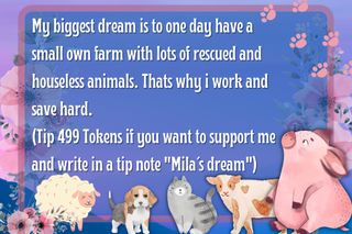 Spend for my own animal rescue station
