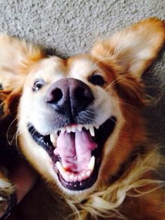 Beautiful smile!