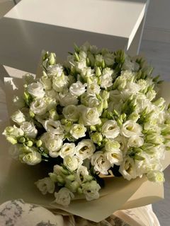 eustoma