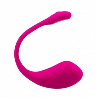 Vibrator