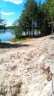 To the dacha