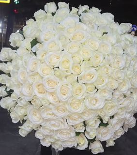 101 roses