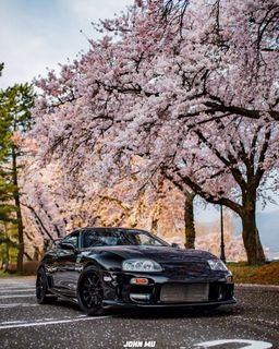 By car