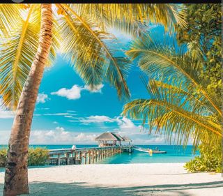 dream trip