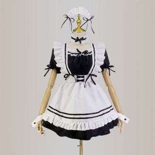 The costume of the maid