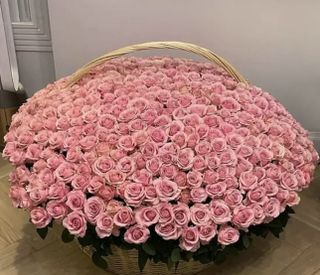 Люблю цветы очень )