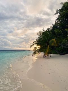 vacation