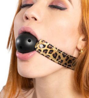 a gag ball