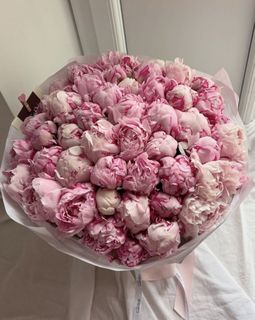 ❀ Peonies ❀