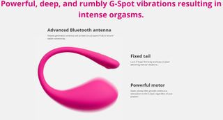 Lovsense Mission 3