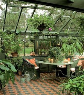 Tropical garden