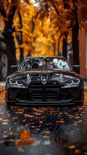 Dream Car