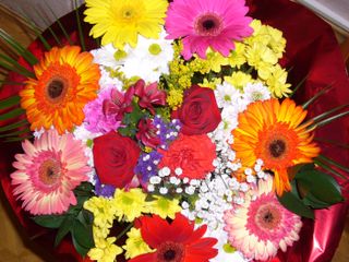 Flowers