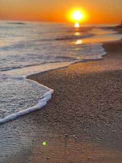 Fly to the sea