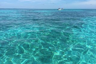 At sea