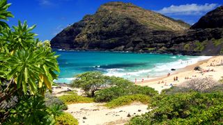 TRAVEL TO HAWAII