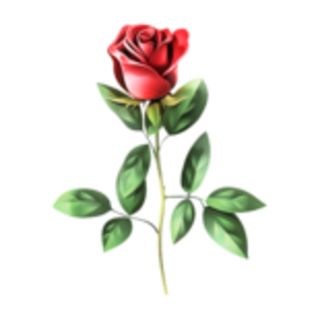GIFT A FLOWER TO YOUR PROFILE !