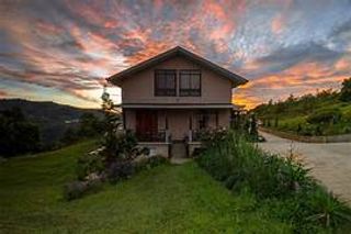 THE HOUSE OF MY DREAMS