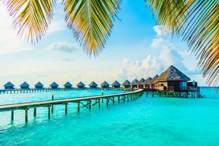 Maldives Trip