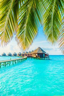 I want to go on vacation!