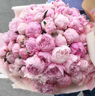 flowers / цветы