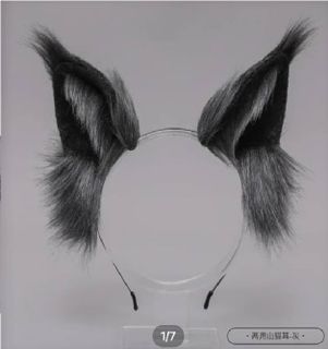 The new ears of Maine Coon