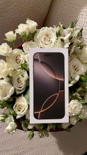 Apple 16 pro max